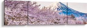 Obraz - Japonia wiosną (170x50 cm)
