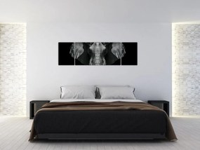 Obraz - Słoń na czarnym tle (170x50 cm)
