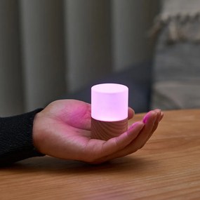 Dekoracja świetlna na USB w naturalnym kolorze ø 4,5 cm Lemelia – Gingko