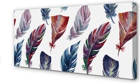 Obraz na płótnie Feeria Kolorowych Piór