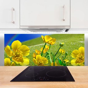 Panel nad blat kuchenny Tęcza Nad Kwitnącą Łąką