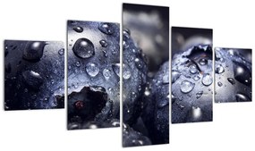 Obraz owoców z kroplami wody (125x70 cm)