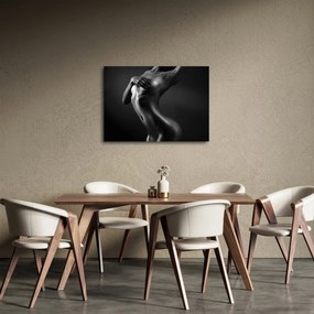 Obraz - Nagie kobiety (70x50 cm)