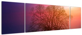 Obraz drzew we mgle (170x50 cm)