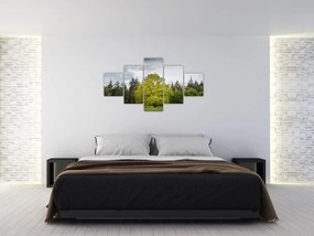 Obraz zielonego drzewa na środku pola (125x70 cm)