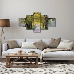 Zdjęcie - Smoky Mountains, Gatlinburg, USA (125x70 cm)