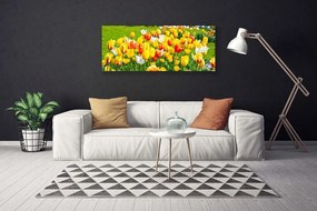 Obraz Canvas Tulipany Kwiaty Natura