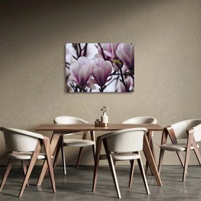 Obraz na szkle - Magnolia (70x50 cm)