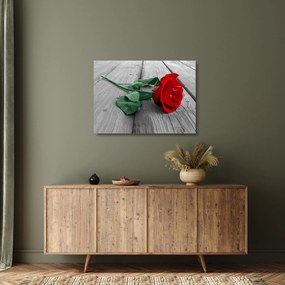 Obraz na szkle - Czerwona róża z zieloną łodygą (70x50 cm)