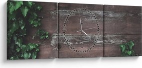Obraz - Bluszcz (z zegarem) (90x30 cm)