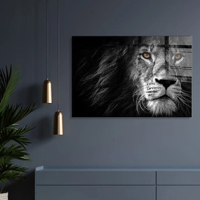 Szklany obraz 70x50 cm Lion – Wallity