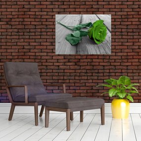 Obraz na szkle - Zielona róża (70x50 cm)