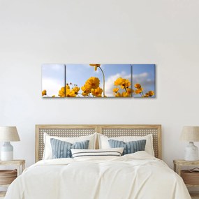 Obraz pola z jasnożółtymi kwiatami (170x50 cm)