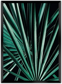 Plakat Dark Palm Tree