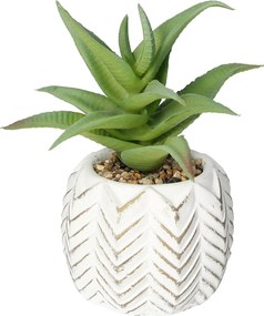 Dekoracja Aloes I 14cm
