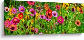 Obraz kwiatów polnych (z zegarem) (90x30 cm)