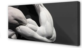 Zdjęcie na płótnie Siła i Rzeźba Mięśni