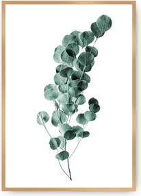 Plakat Eucalyptus Emerald Green
