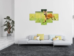 Obraz - Sarna (125x70 cm)