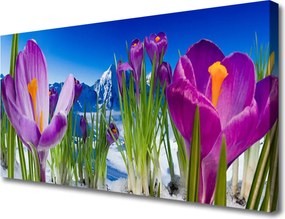 Fotoobraz na płótnie Świeżość Kwiatów Polnych