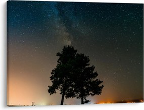 Obraz nocnego nieba z drzewami (70x50 cm)
