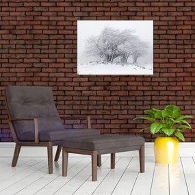 Obraz na szkle - Biała zima (70x50 cm)