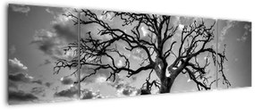 Obraz - Czarno - białe drzewo (170x50 cm)