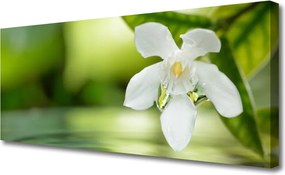 Zdjęcie na płótnie Duet Kwiatu i Zieleni