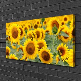 Obraz Canvas Słoneczniki Roślina Natura