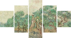 Obraz - Vincent van Gogh, The Olive Orchard, reprodukcje (125x70 cm)