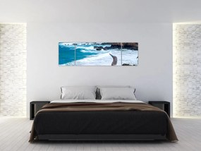 Obraz - głuptak niebieskonogi (170x50 cm)