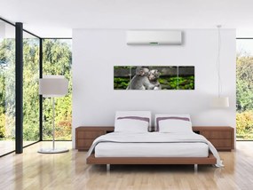 Obraz - małpki (170x50 cm)