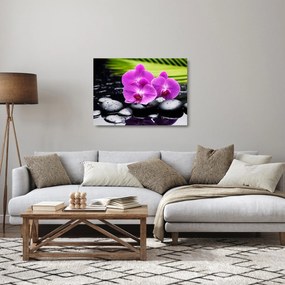 Obraz na szkle - Storczyki (70x50 cm)