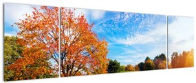 Obraz - Jesienny krajobraz (170x50 cm)