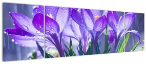 Obraz kwiatów w deszczu (170x50 cm)