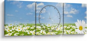 Obraz kwitnącej łąki ze stokrotkami (z zegarem) (90x30 cm)