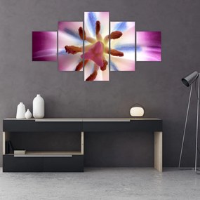 Obraz - Kwiat tulipana w szczegółach (125x70 cm)