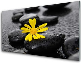 Panel Szklany Słoneczny Akcent w Gabinecie Spa