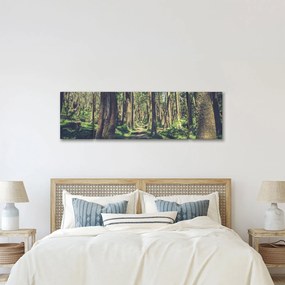 Obraz ścieżki pomiędzy drzewami (170x50 cm)