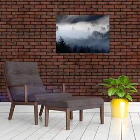 Obraz na szkle mgły nad lasem (70x50 cm)