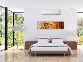 Obraz leżącego kota (170x50 cm)