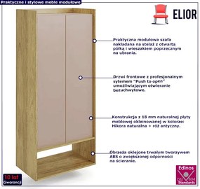 Szafa modułowa hikora + róż antyczny - Horizonte 6X