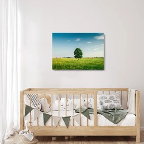 Obraz na szkle drzewa na łące (70x50 cm)