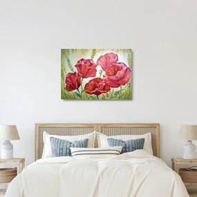Obraz na szkle - Kwiaty maku (70x50 cm)