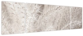 Obraz - Szczegół (170x50 cm)
