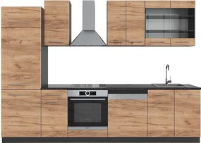 Aneks kuchenny złoty dąb power/antracyt 300x46x81.6 fame-line