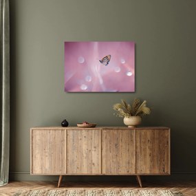 Obraz na szkle - Motyl (70x50 cm)