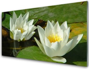 Panel nad blat kuchenny Kompozycja Suszonych Roślin