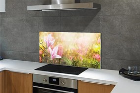 Szklany Panel Magnolia w Słońcu