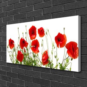 Obraz canvas na ścianę Polne Maki w Rozkwicie